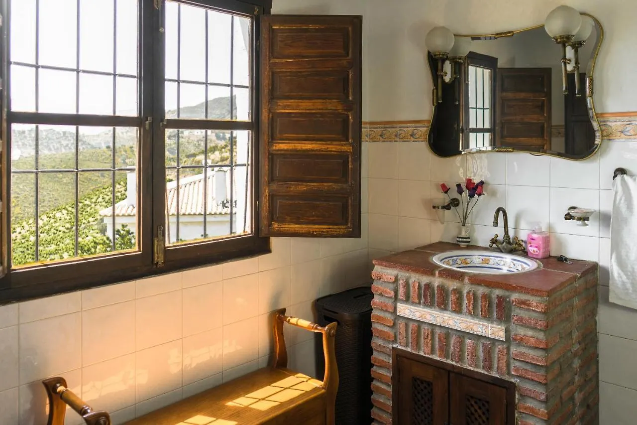 Winehouse With Big Pool, Bbq, Wifi, Close To Malaga Borge