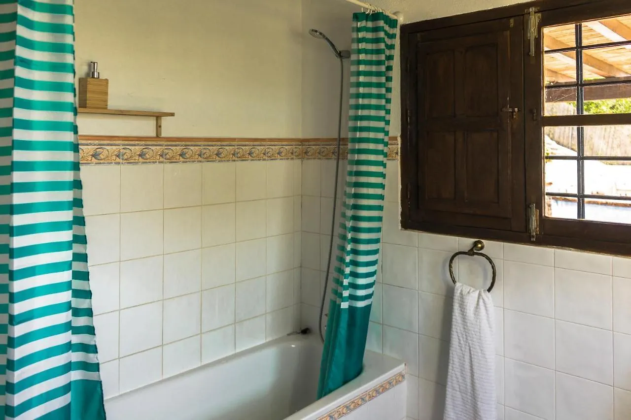 Σπίτι διακοπών Winehouse With Big Pool, Bbq, Wifi, Close To Malaga Borge