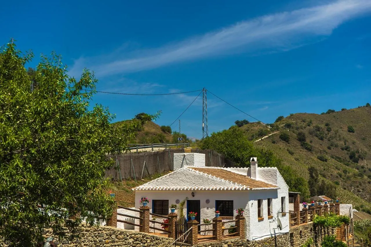 Winehouse With Big Pool, Bbq, Wifi, Close To Malaga Borge Ισπανία